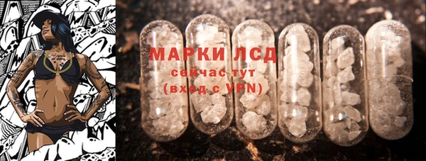 гашик Аркадак