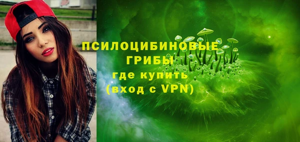 гашик Аркадак