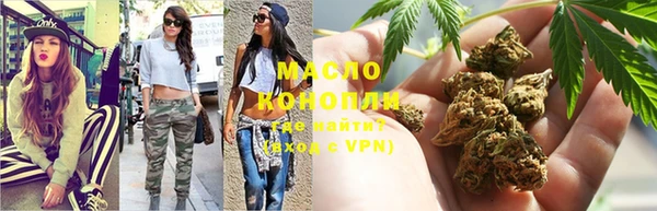 гашик Аркадак