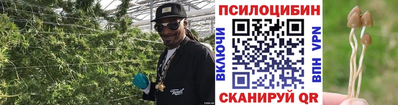 купить закладку  Тейково  Псилоцибиновые грибы прущие грибы 