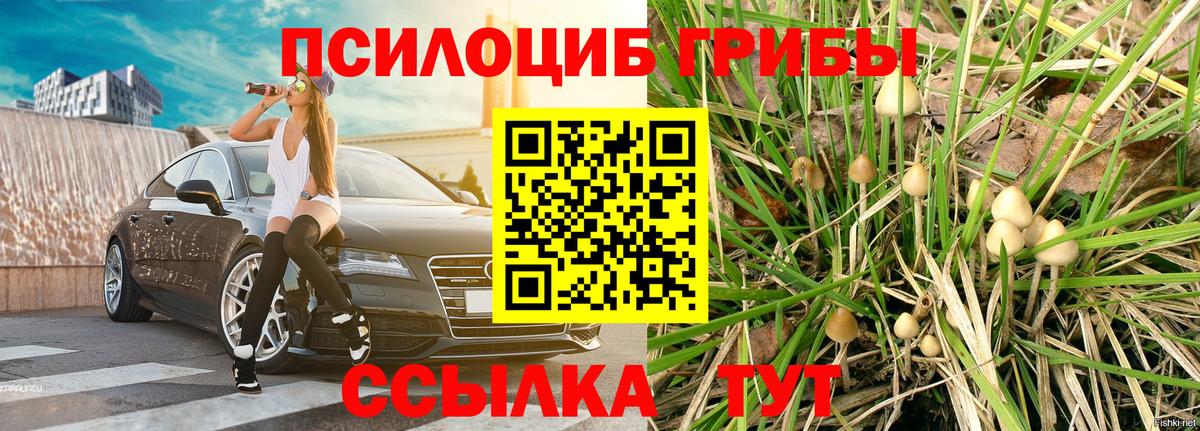 Галлюциногенные грибы ЛСД  Вход с VPN  где найти   Тейково 